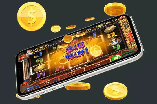 alibab66 4 fokus dalam Jungle Delight